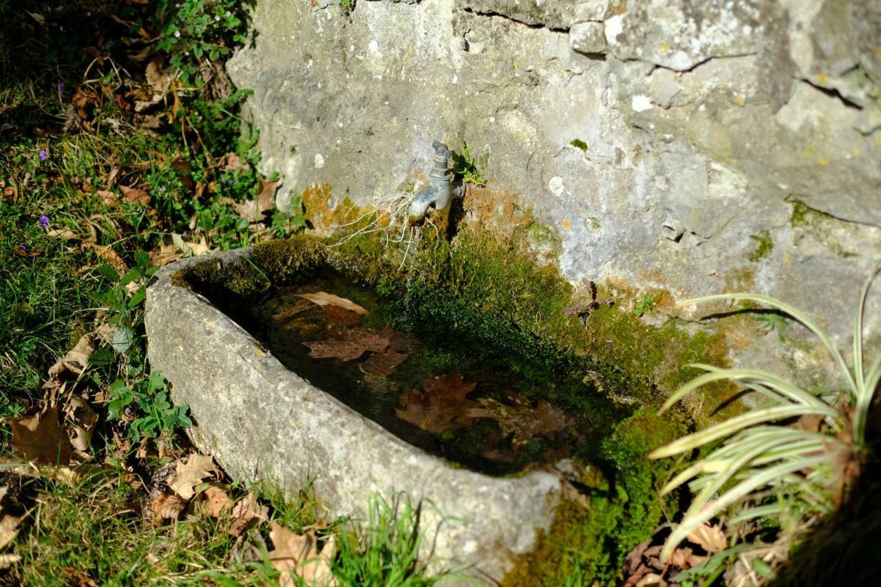 Villa Il Sorriso Bivigliano المظهر الخارجي الصورة